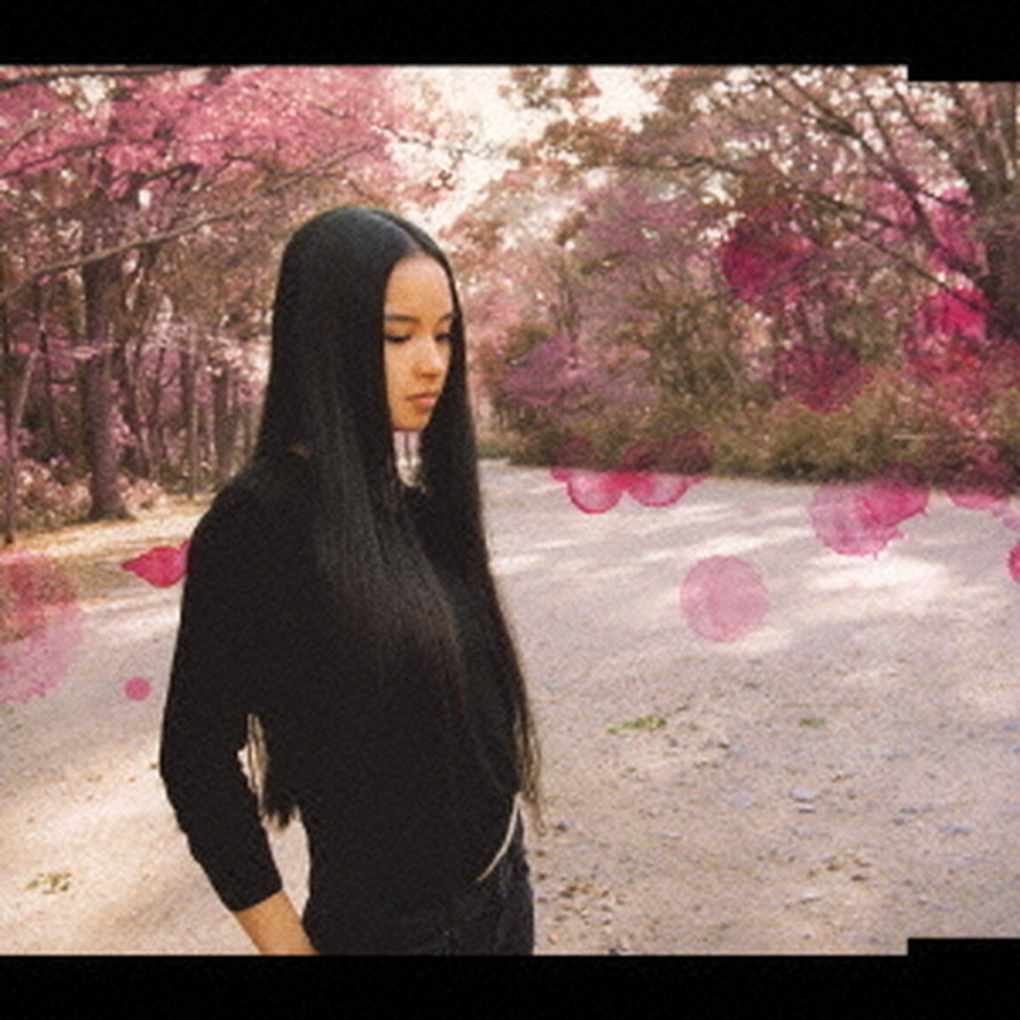 花篝り（ＣＤ）