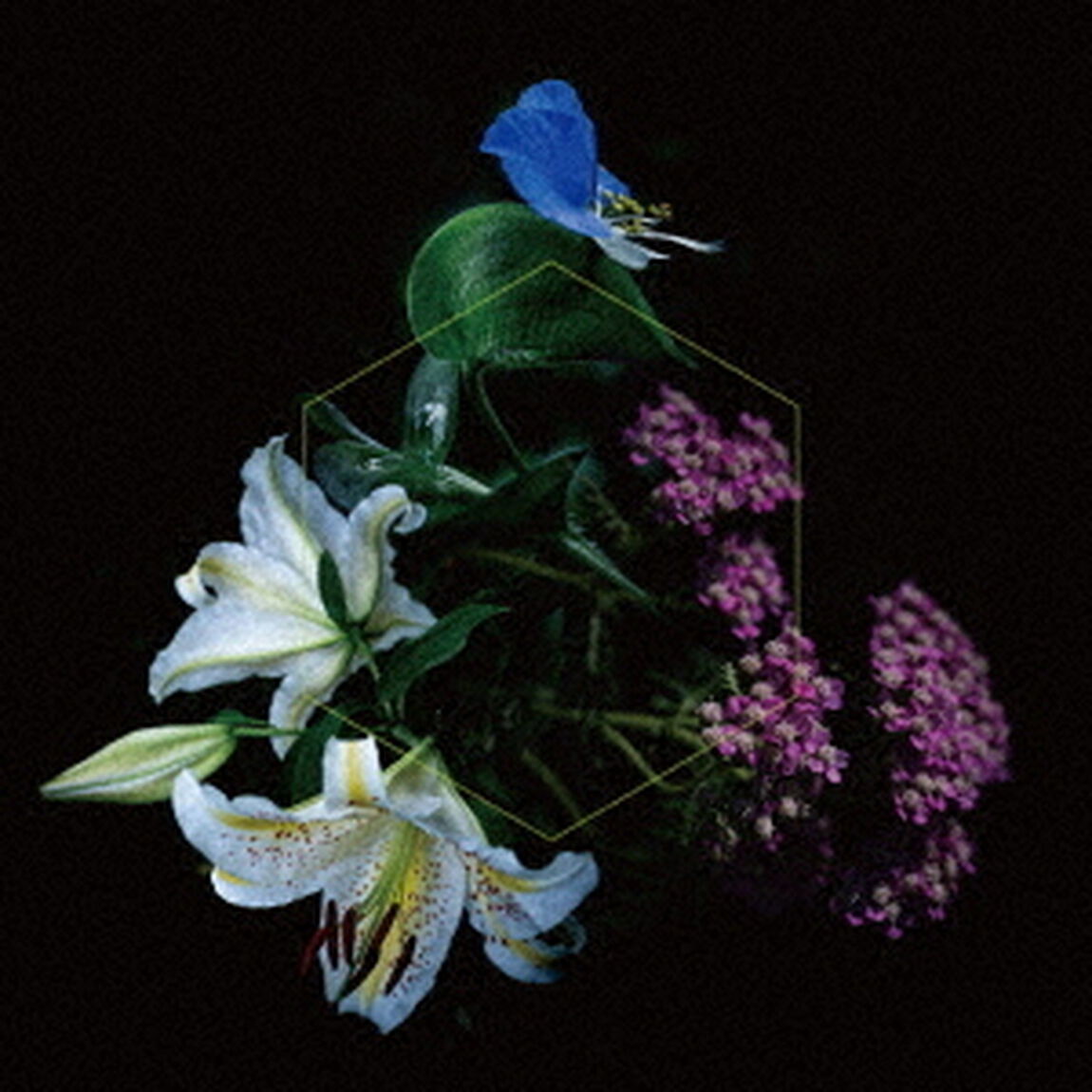 Awake　all　around（ＣＤ）