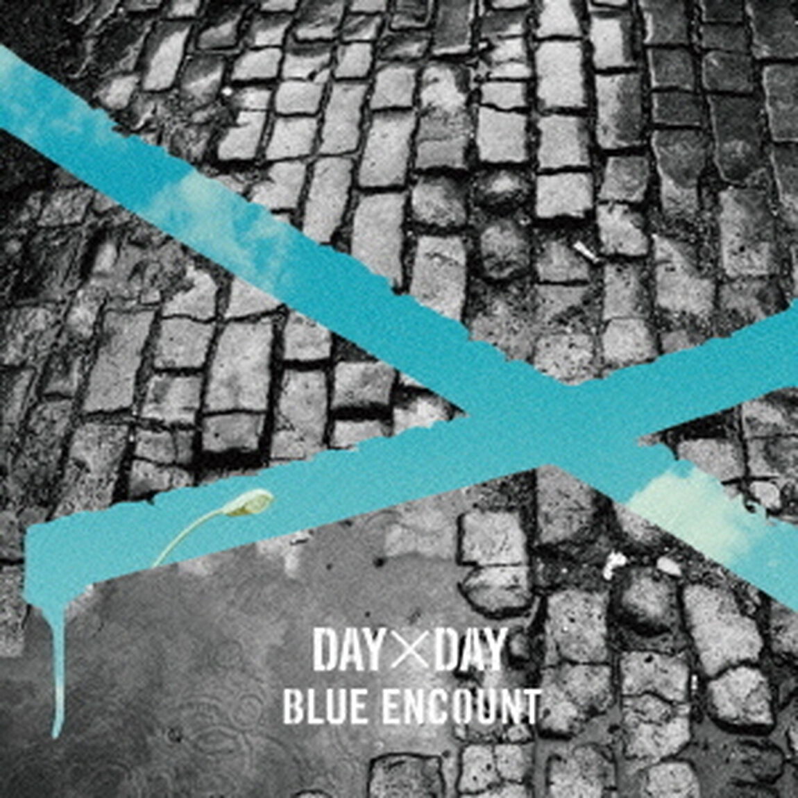 DAY&times;DAY（ＣＤ）