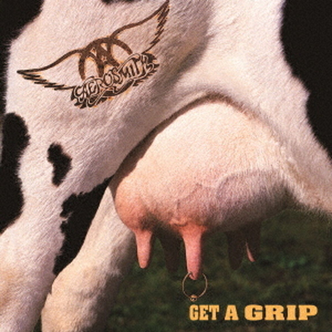 ゲット・ア・グリップ（ＣＤ）