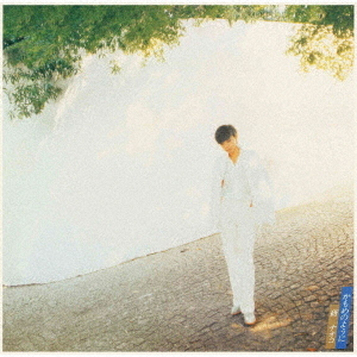 研ナオコ／かもめのように（ＣＤ）