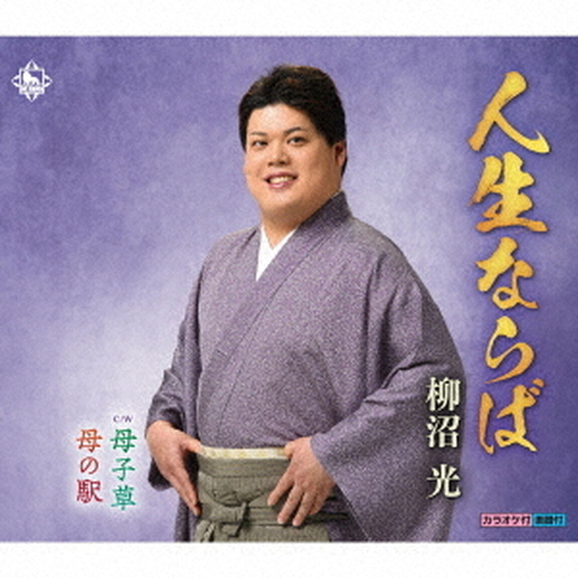 人生ならば／母子草／母の駅（ＣＤ）