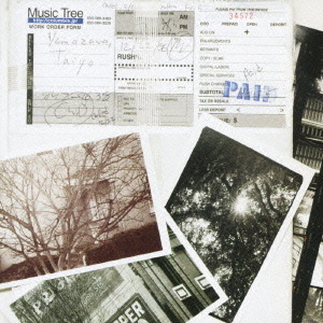 山沢大洋　presents　music　tree（ＣＤ）