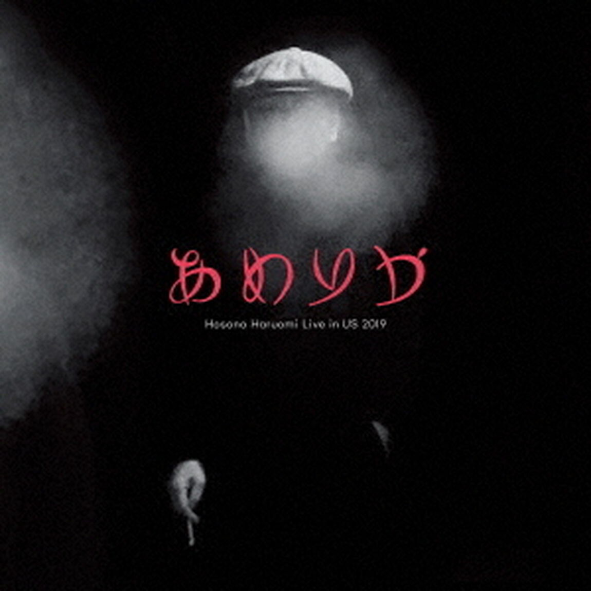 細野晴臣／あめりか / Hosono Haruomi Live in US 2019（重量盤アナログ／2LP）（アナログ盤）（LP盤（アナログ盤））