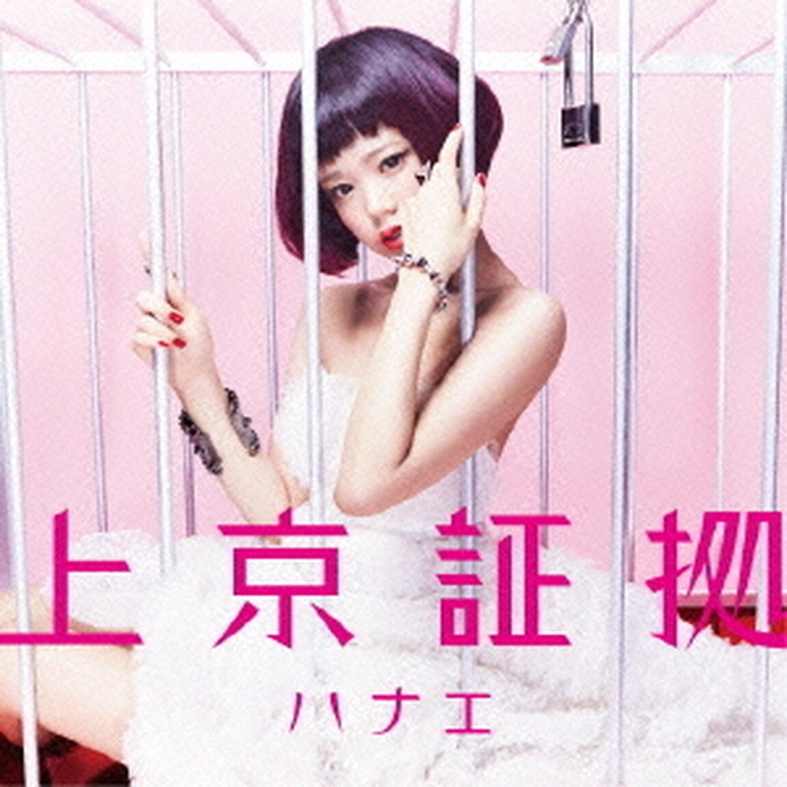上京証拠（ＣＤ）