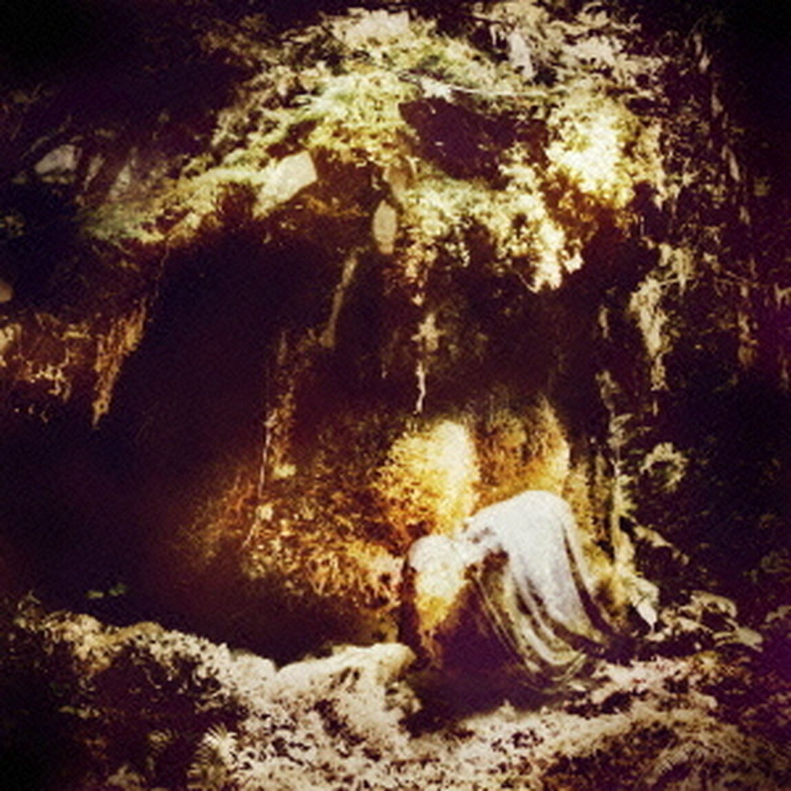 セレッシャル・リニイジ（ＣＤ）