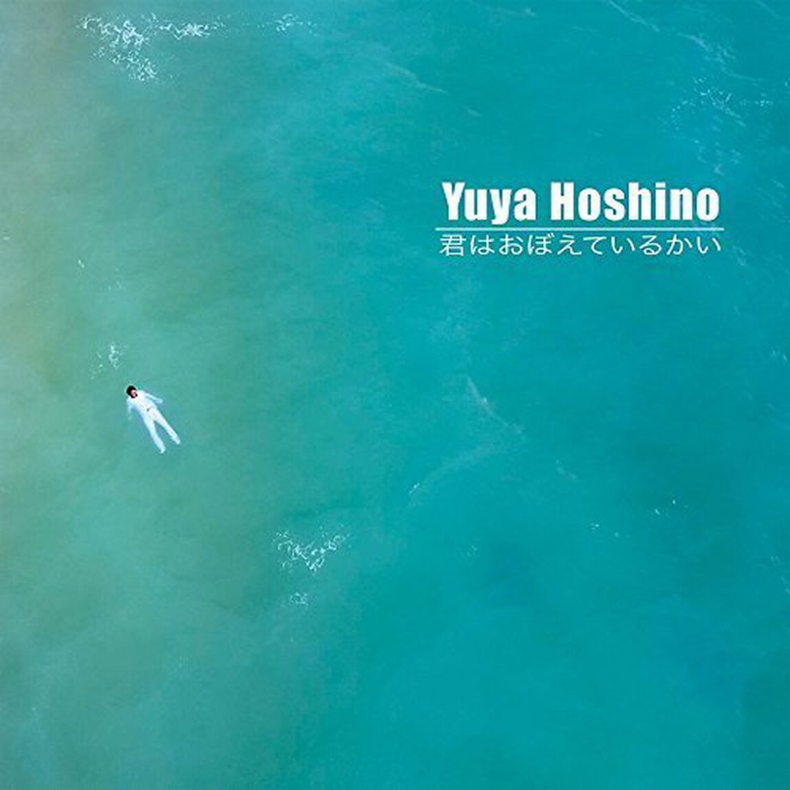 君はおぼえているかい（ＣＤ）
