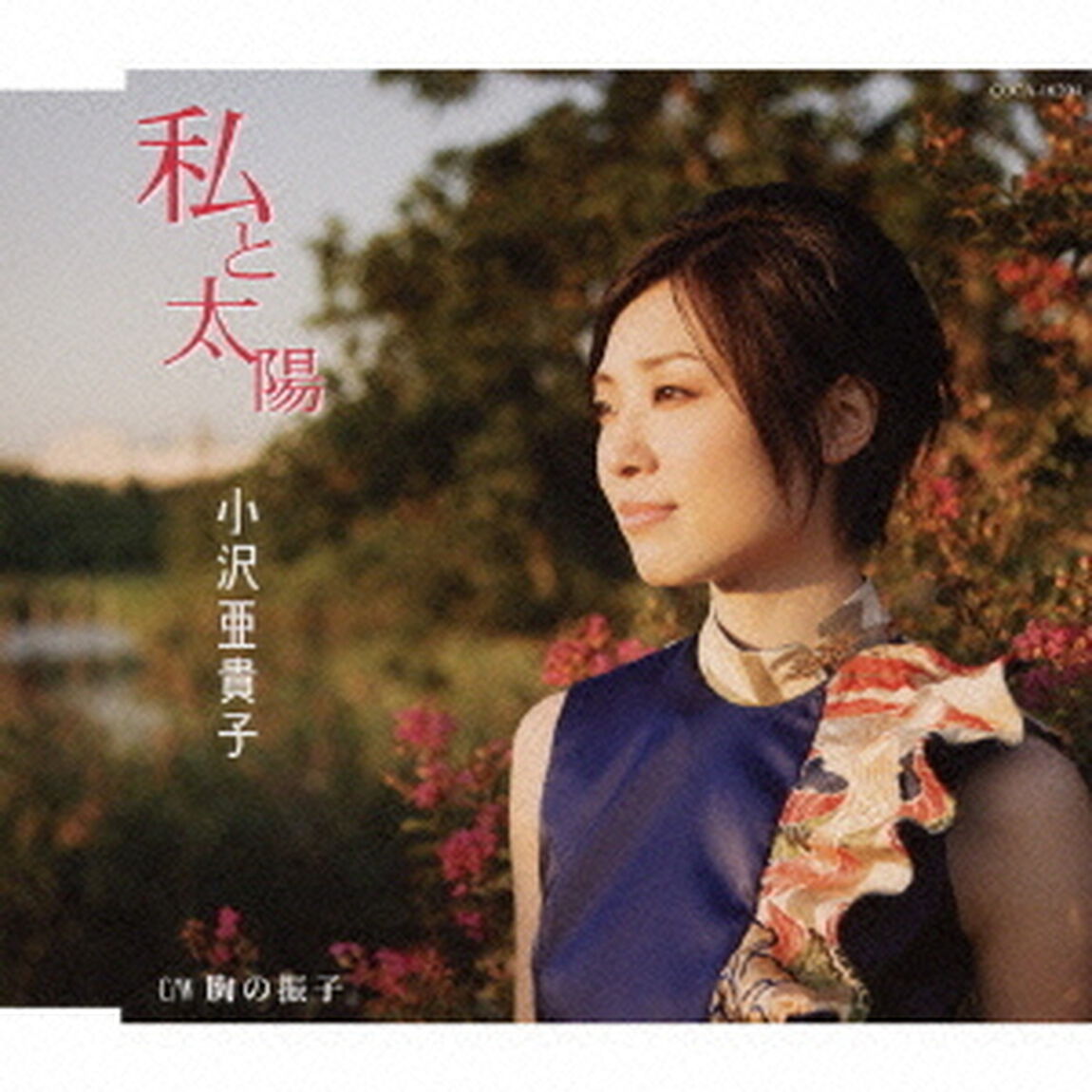 私と太陽（ＣＤ）