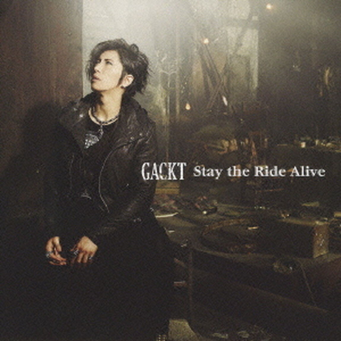 Stay　the　Ride　Alive（ＣＤ）