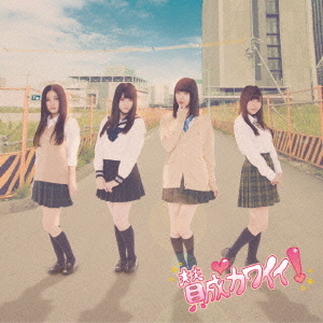 賛成カワイイ！（ＣＤ）