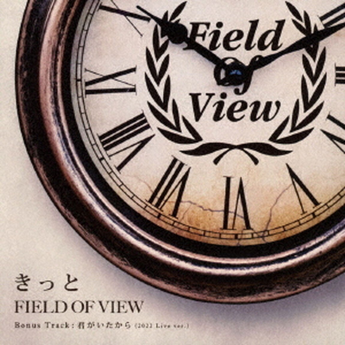 FIELD OF VIEW／きっと（ＣＤ）