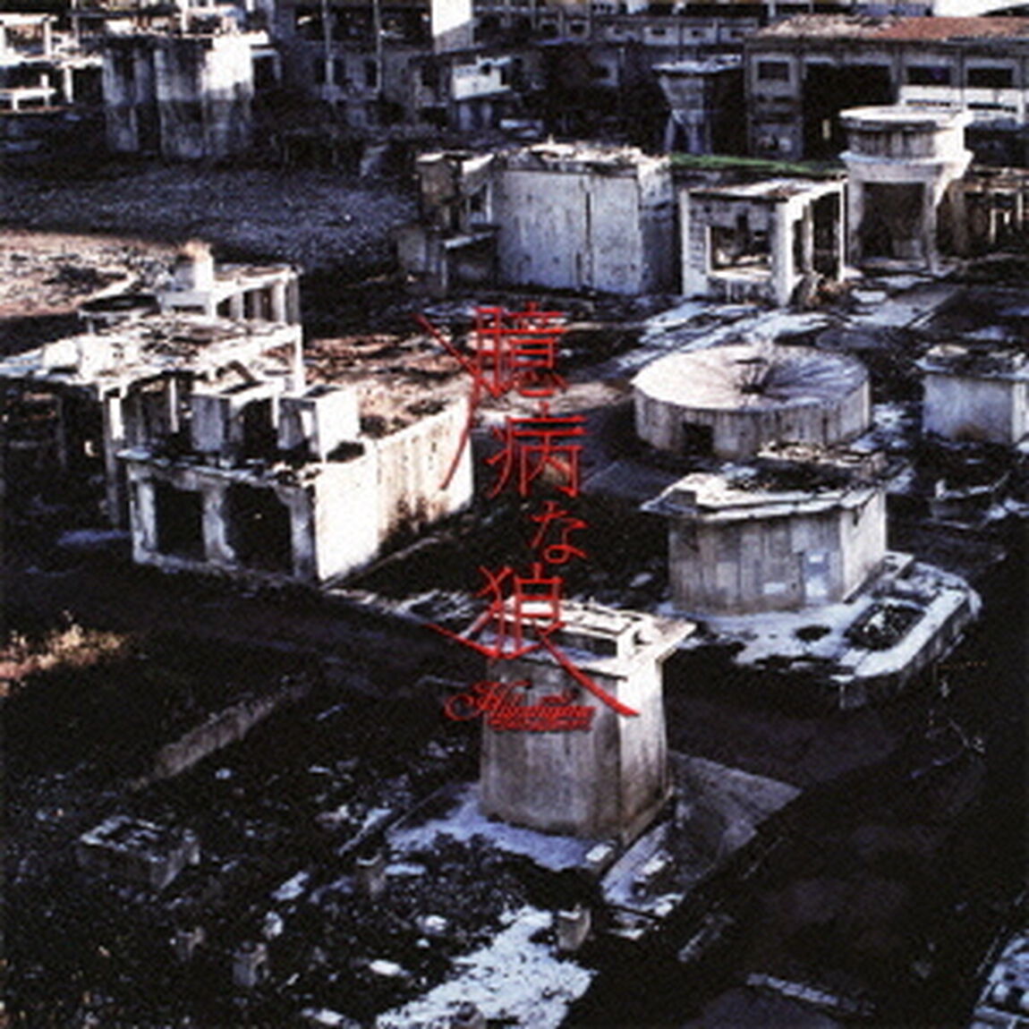 臆病な狼（ＣＤ）