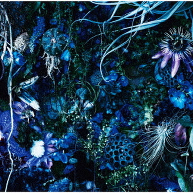 SUGIZO／ONENESS M（初回生産限定盤）（アナログ盤）（LP盤（アナログ盤））