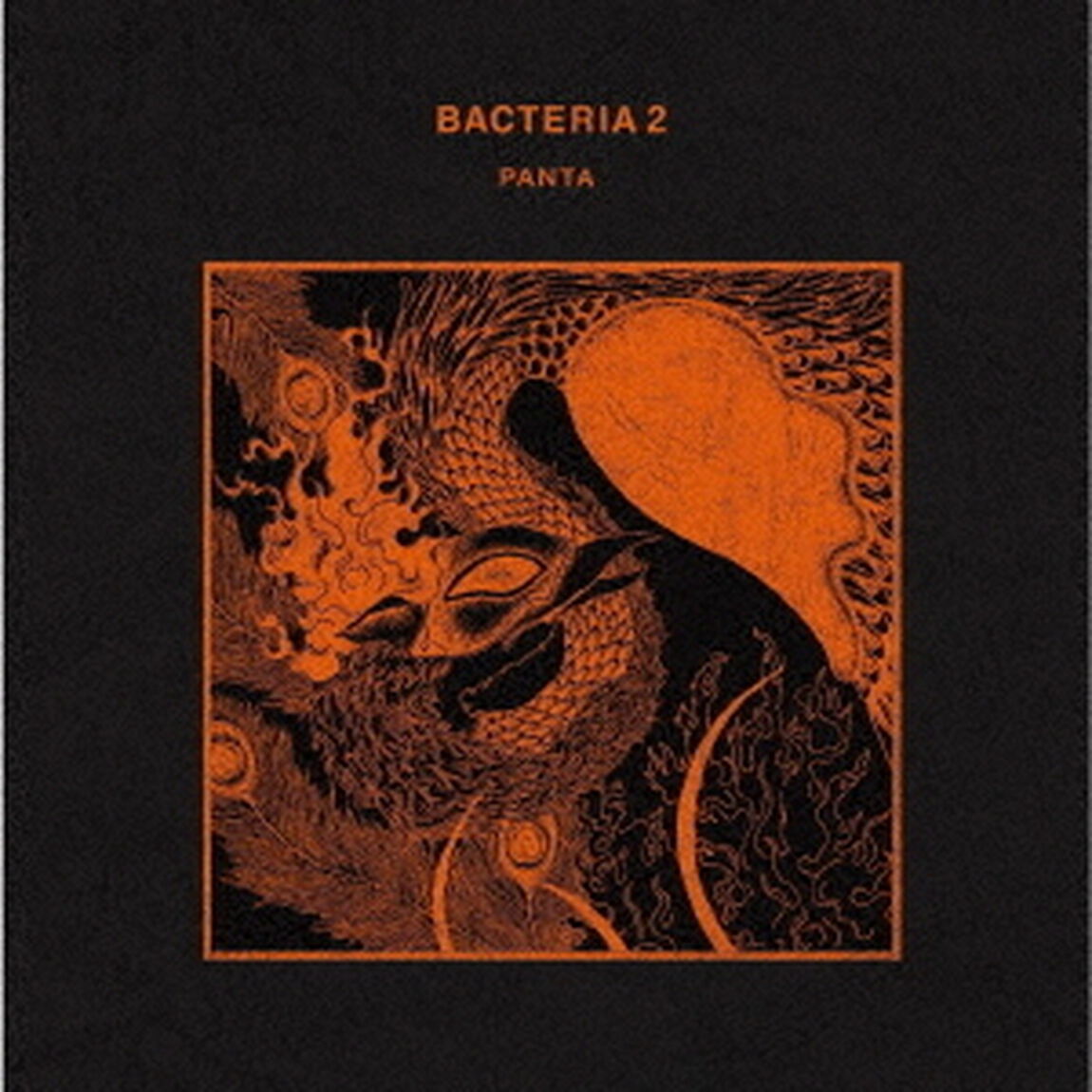 BACTERIA　2（ＣＤ）