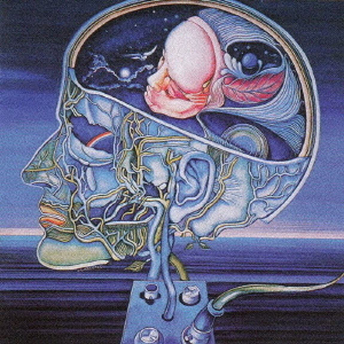 クリアライト・シンフォニー（ＣＤ）