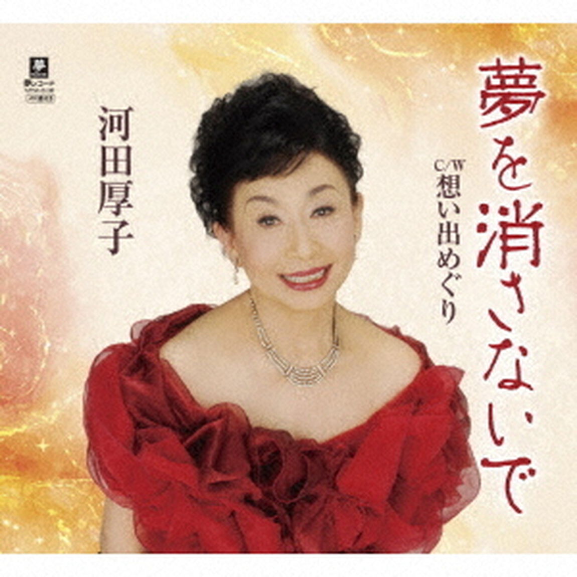 夢を消さないで（ＣＤ）
