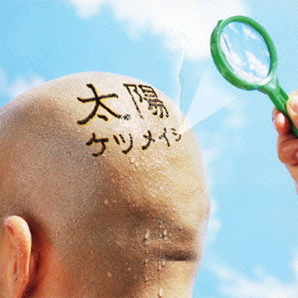 太陽（ＣＤ）