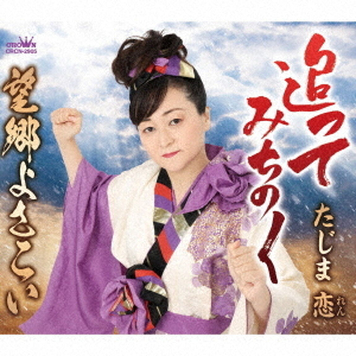 追ってみちのく（ＣＤ）