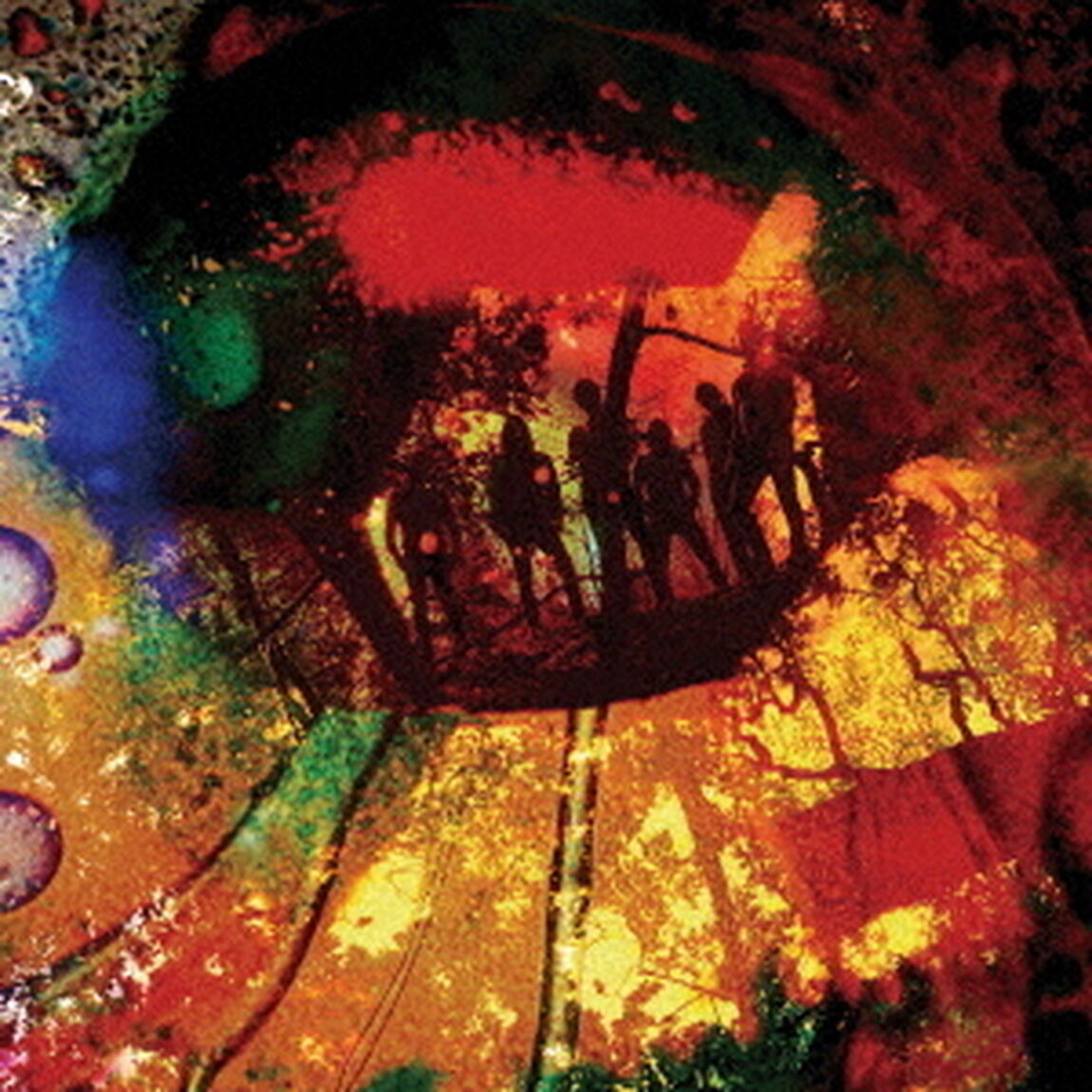 TURN　OUT　THE　LIGHTS（ＣＤ）