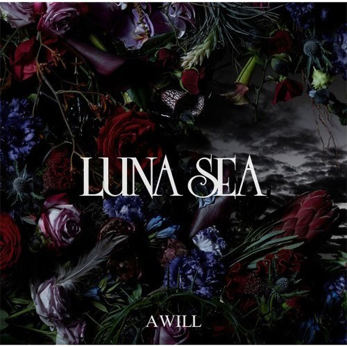 LUNA SEA／A WILL（生産限定盤／アナログ盤）（LP盤（アナログ盤））