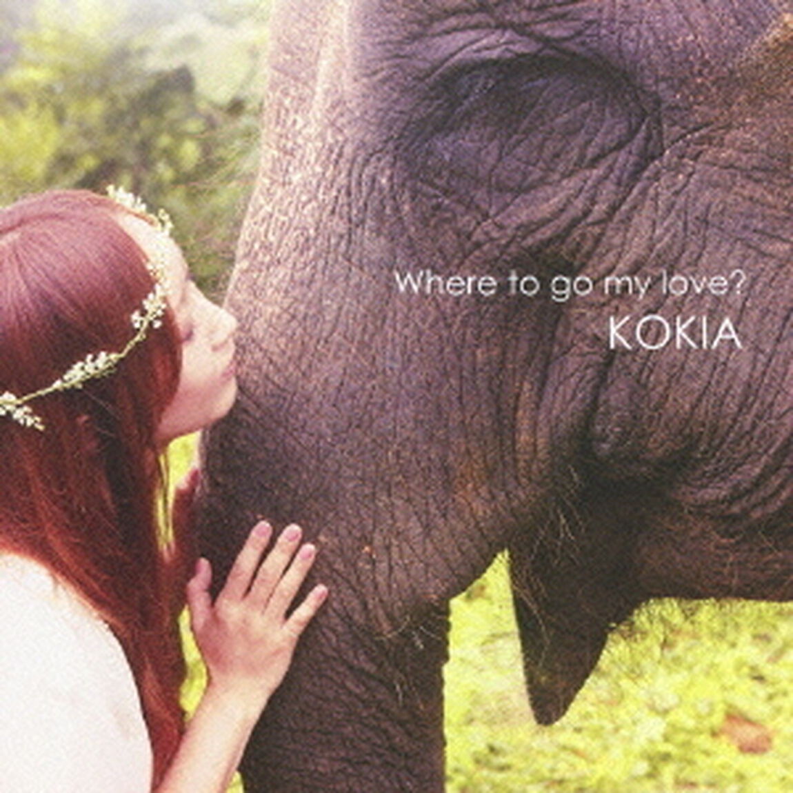 Where　to　go　my　love？（ＣＤ）