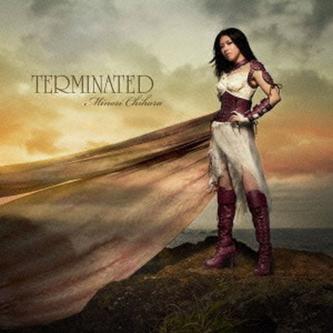 TERMINATED（ＣＤ）