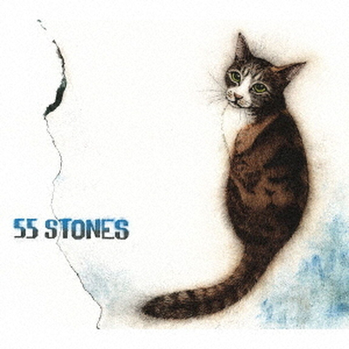 斉藤和義／55 STONES（初回限定盤／CD＋DVD）（ＣＤ）