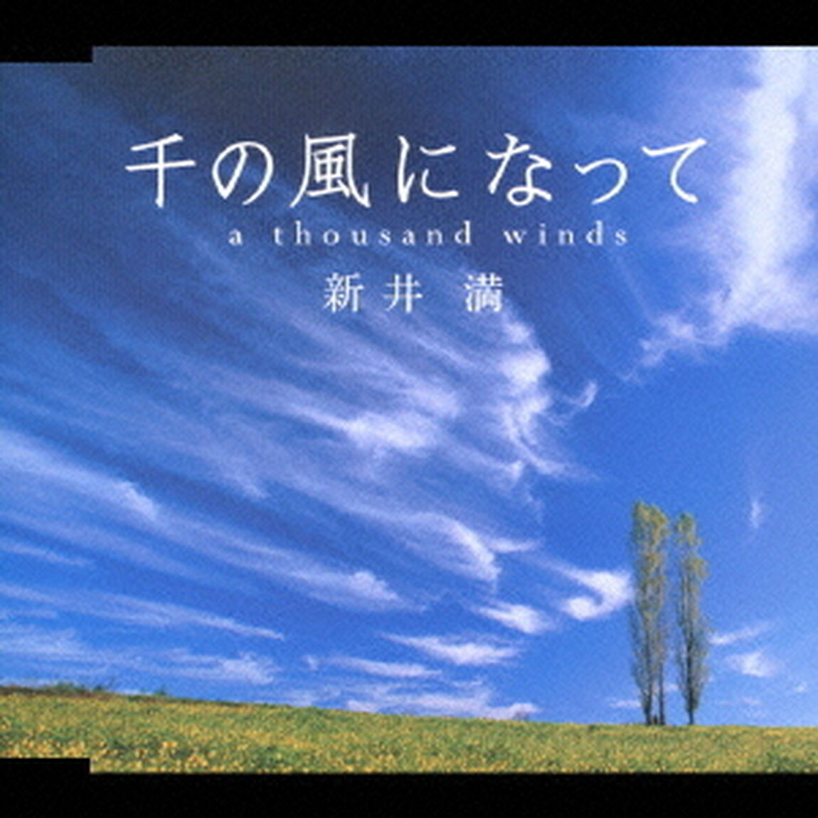 千の風になって　a　thousand　winds（CDシングル）
