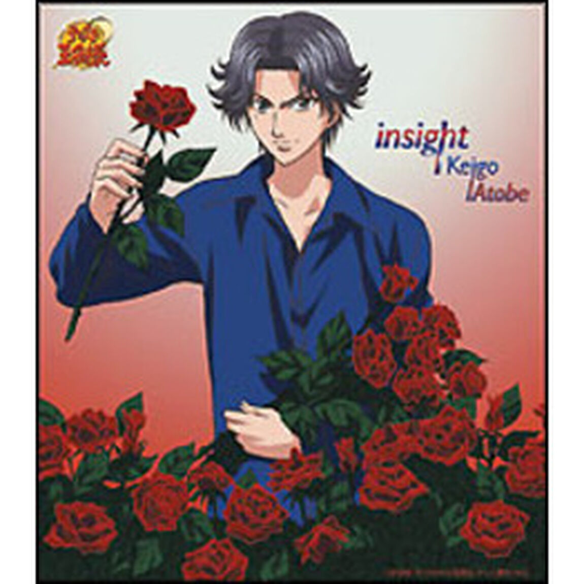 insight（ＣＤ）