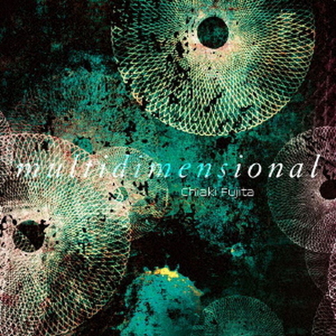 multidimensional（ＣＤ）