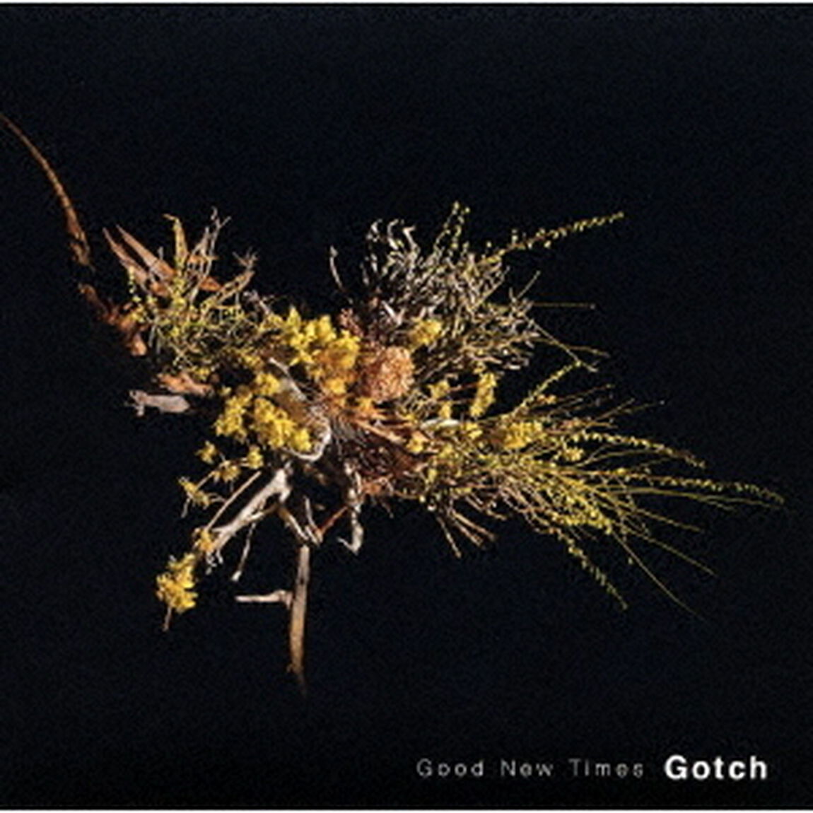 Good　New　Times（ＣＤ）