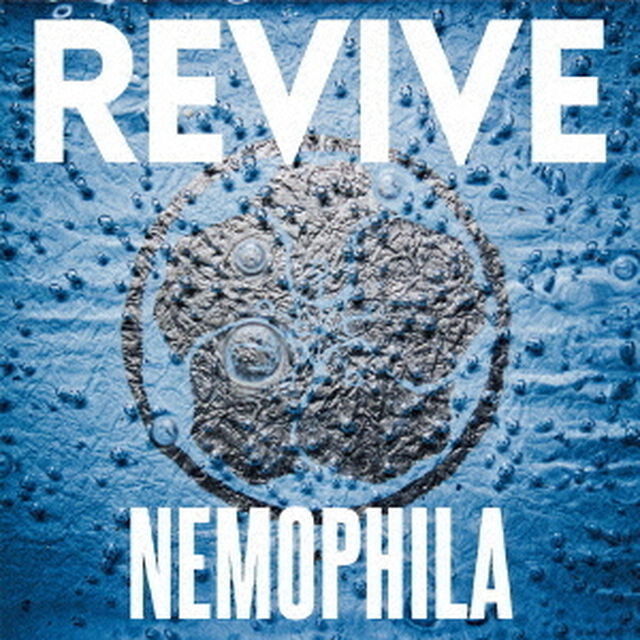 REVIVE（ＣＤ）