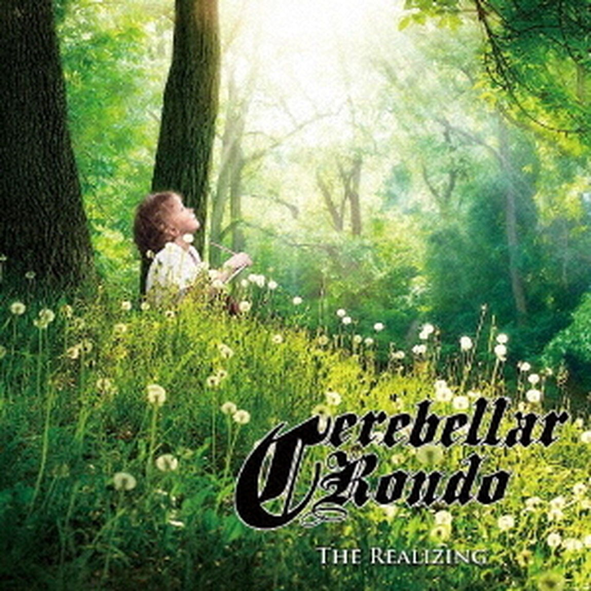 ザ・リアライジング（ＣＤ）