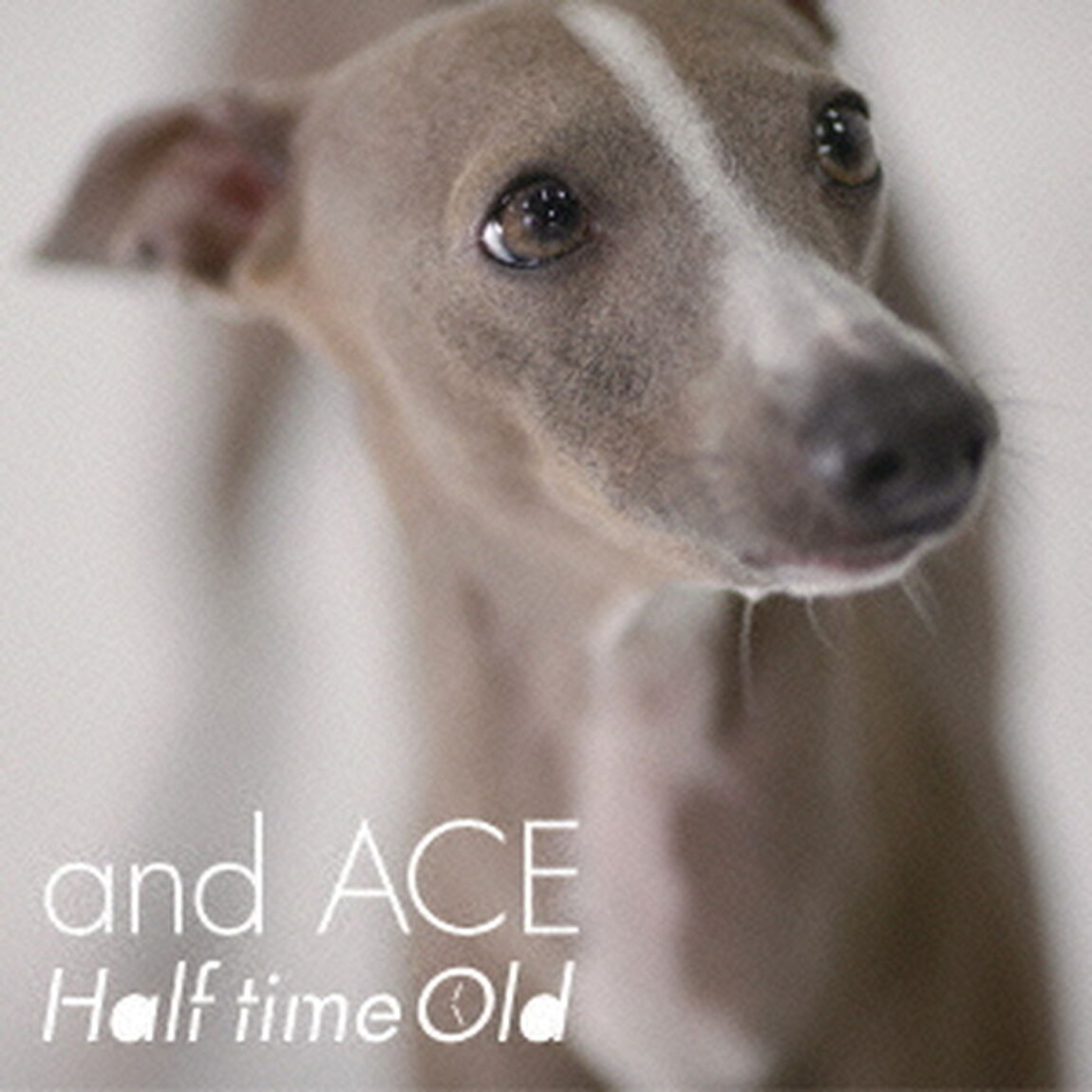 and　ACE（ＣＤ）