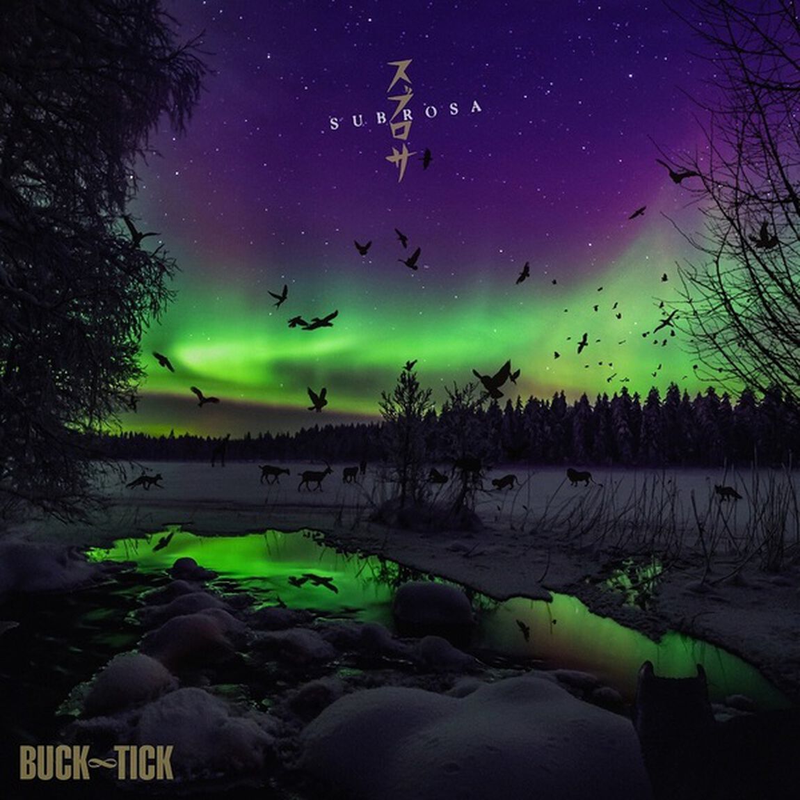 BUCK-TICK／スブロサ SUBROSA（完全生産限定アナログ／3LP）（アナログ盤）（LP盤（アナログ盤））