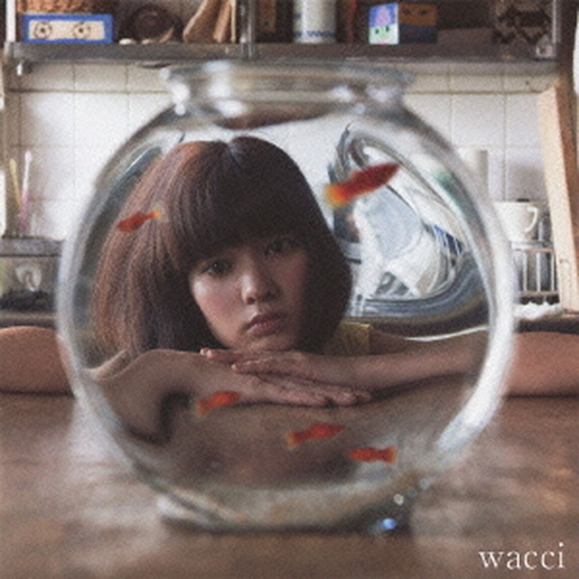 夏休み／誰ニモマケズ（ＣＤ）