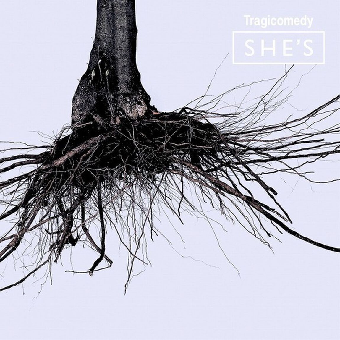 SHE'S／Tragicomedy(通常盤／CDのみ)（ＣＤ）