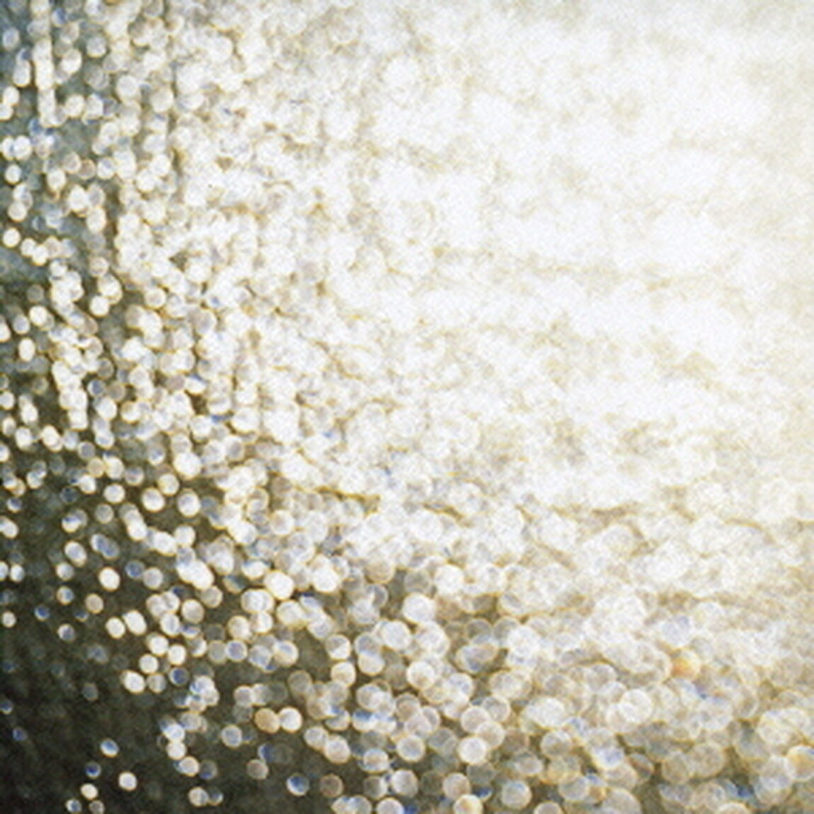 覚醒（ＣＤ）