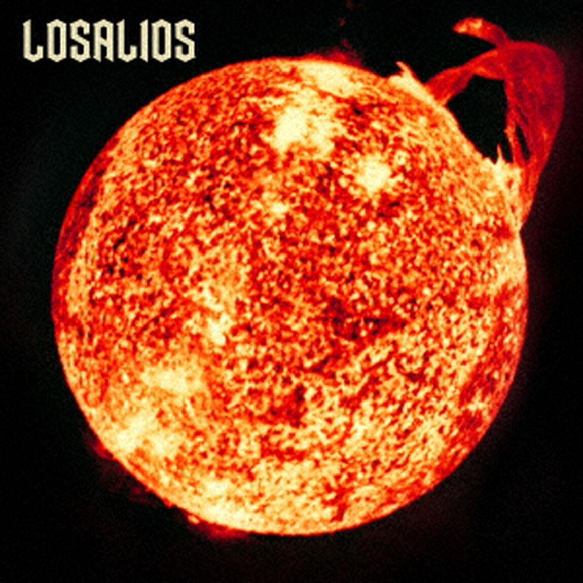 太陽系の鳥たち（LP盤（アナログ盤））