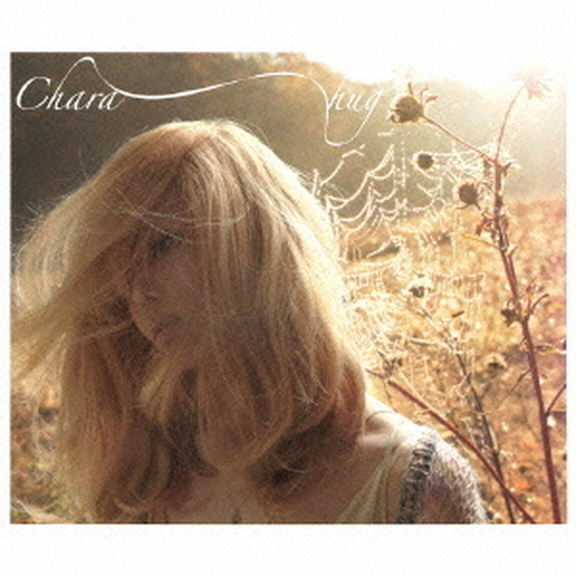 hug（ＣＤ）