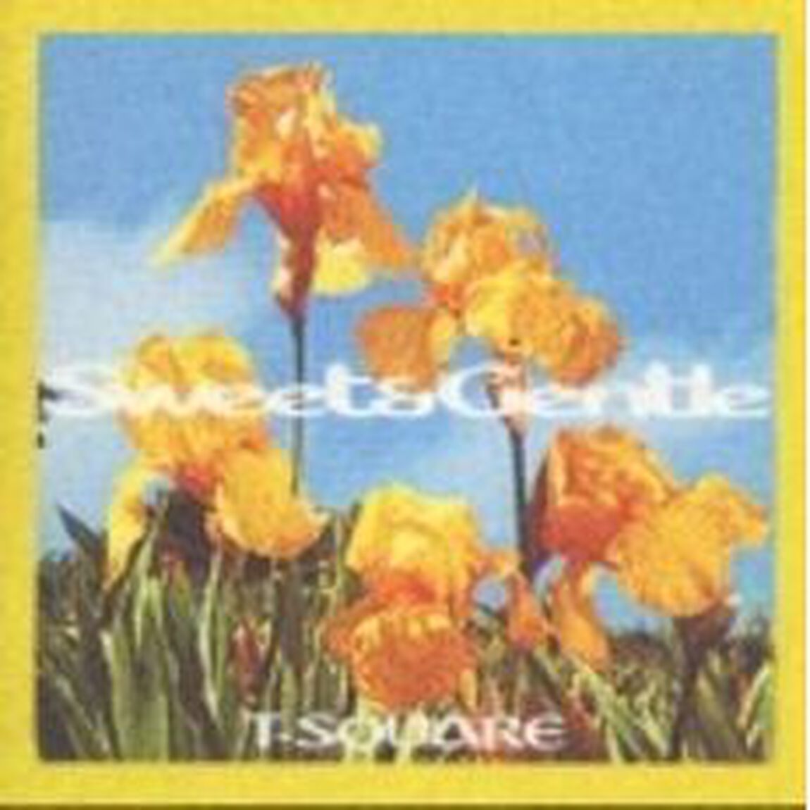 Sweet & Gentle（ＣＤ）
