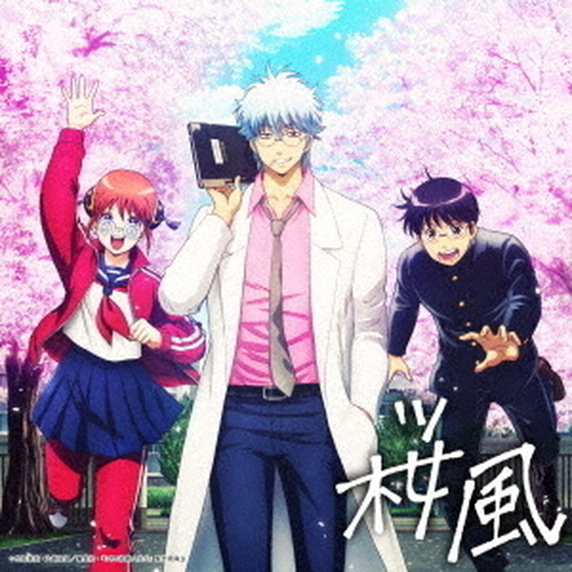 ぼっちぼろまる／桜風（期間限定盤／CD）（ＣＤ）