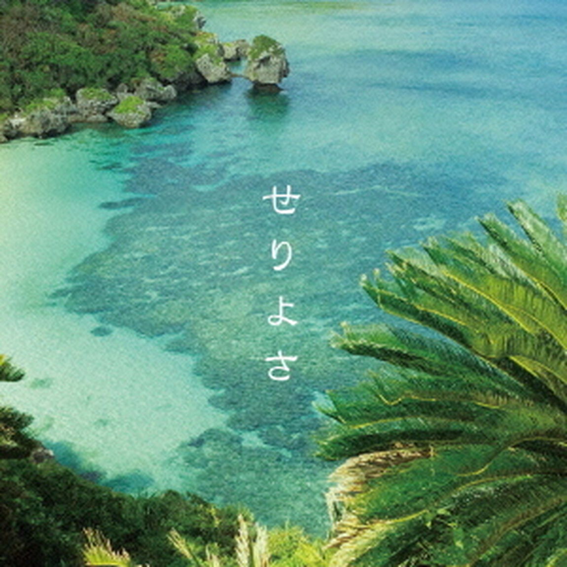 せりよさ（ＣＤ）
