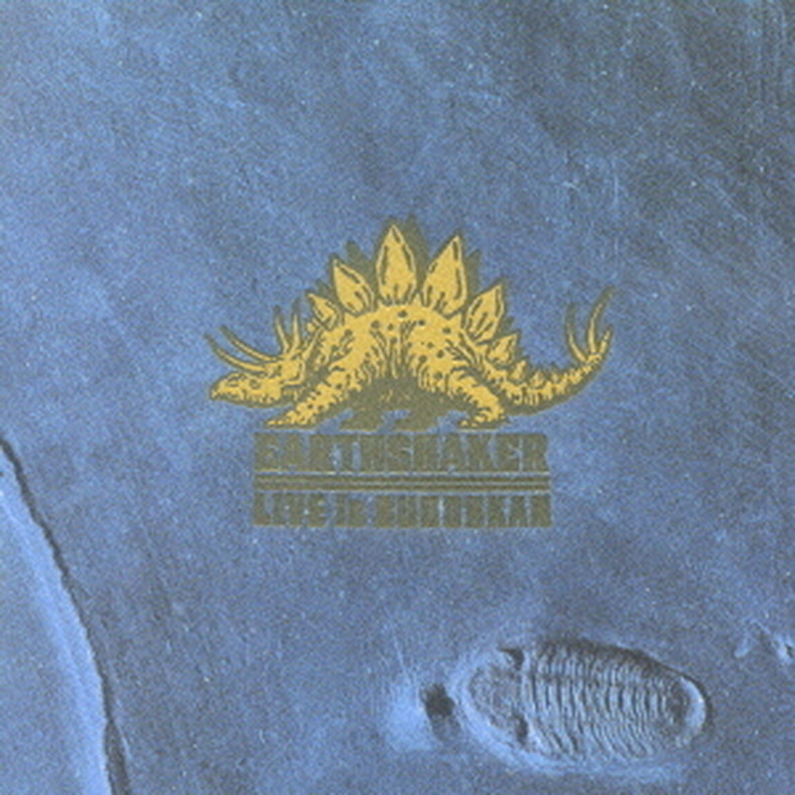 ライヴ・イン・武道館（ＣＤ）
