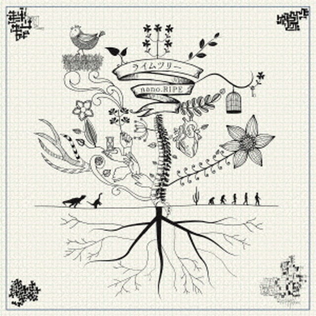 ライムツリー（ＣＤ）