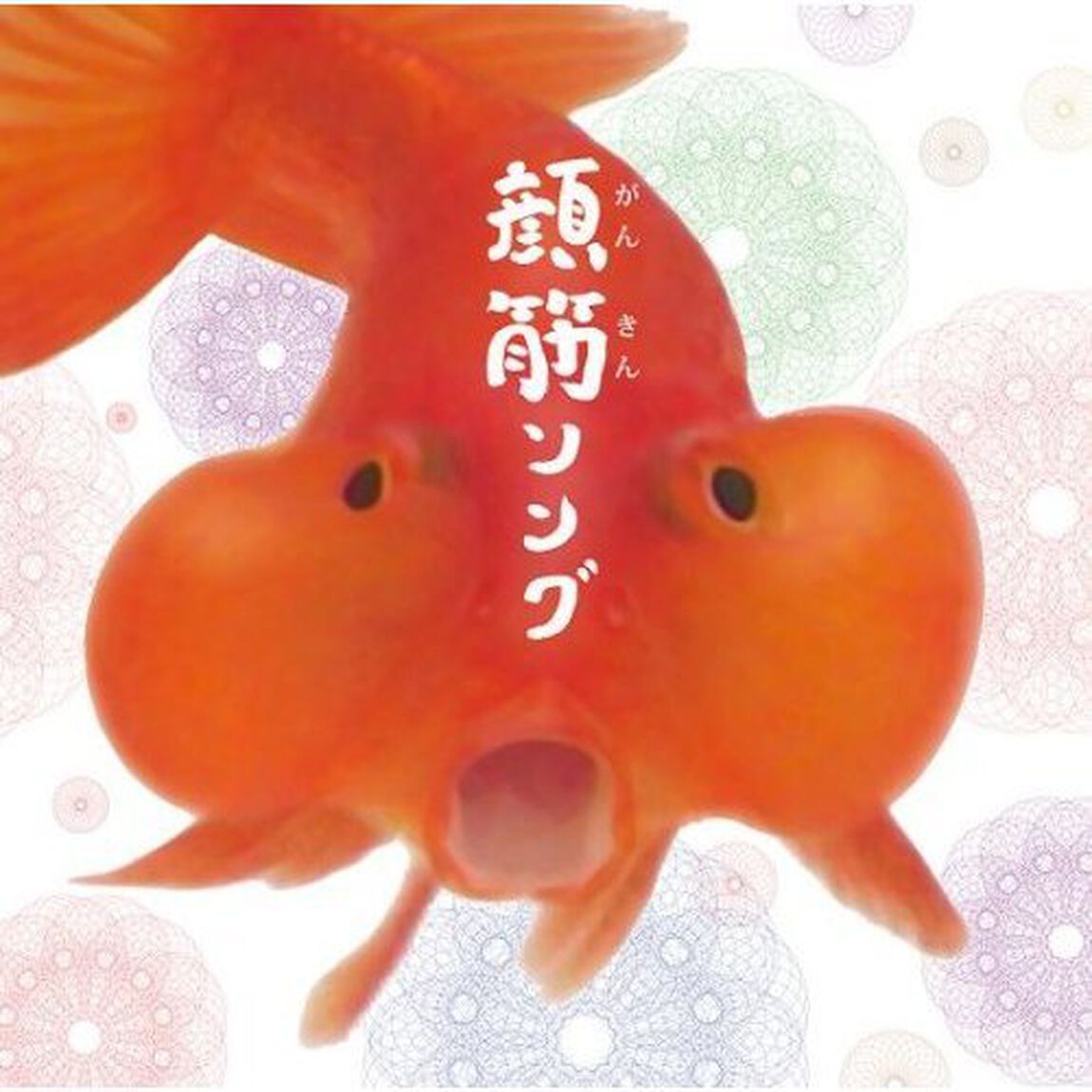 顔筋ソング（ＣＤ）