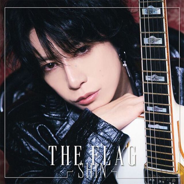 SHIN／THE FLAG（CD）（ＣＤ）