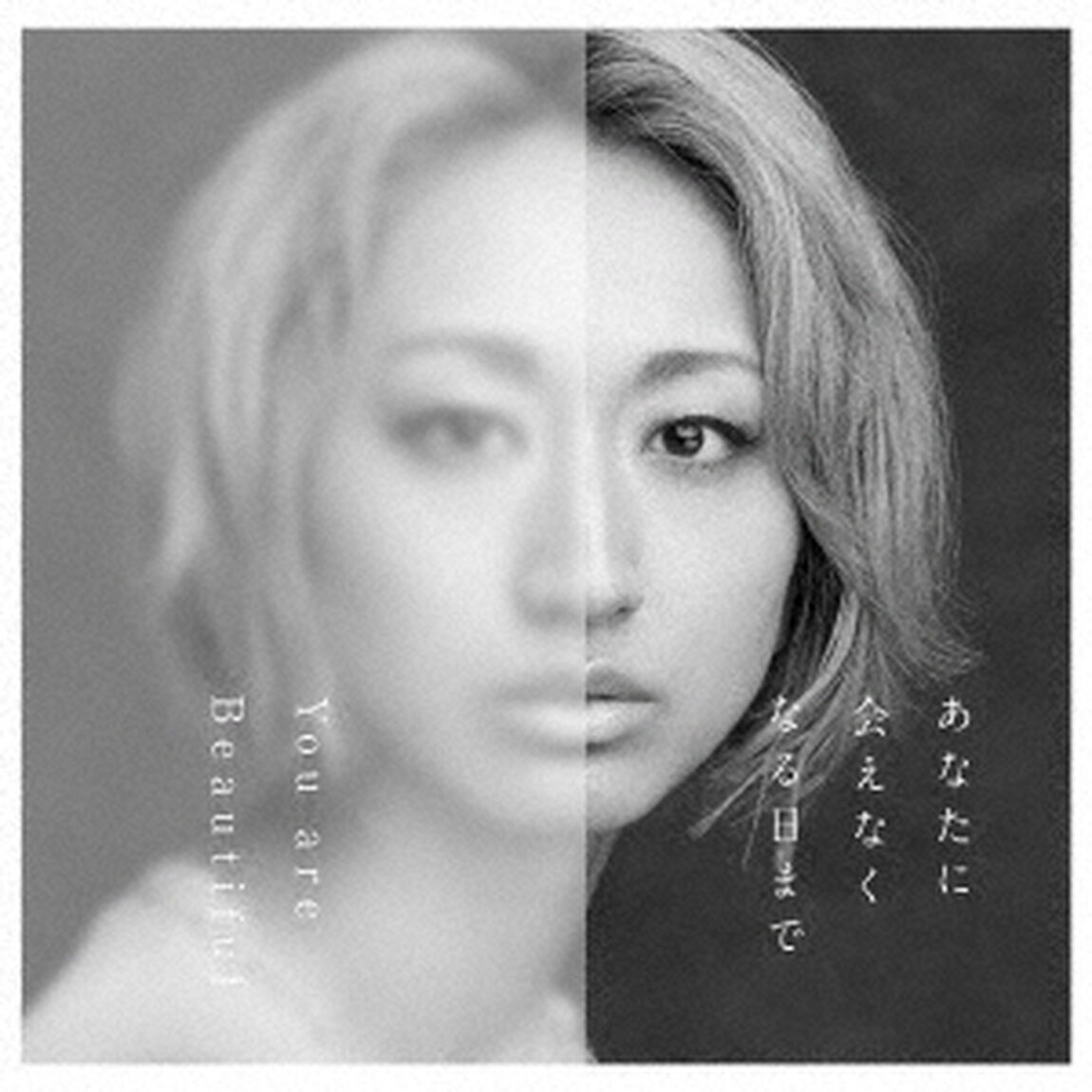あなたに会えなくなる日まで／You　are　Beautiful（ＣＤ）