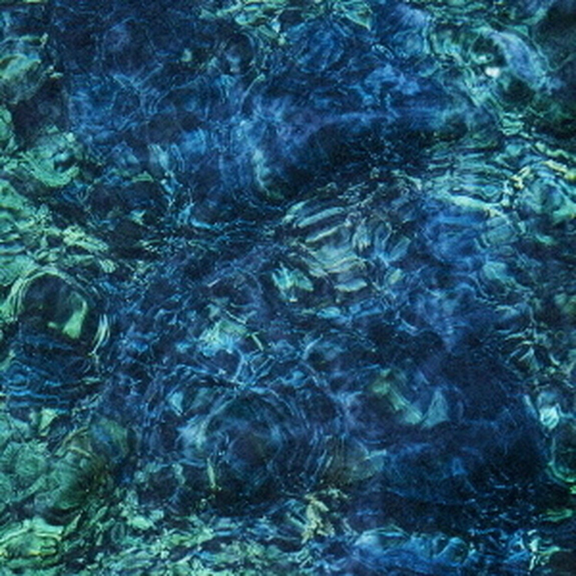 青葉市子／Luminescent Creatures（CD）（ＣＤ）