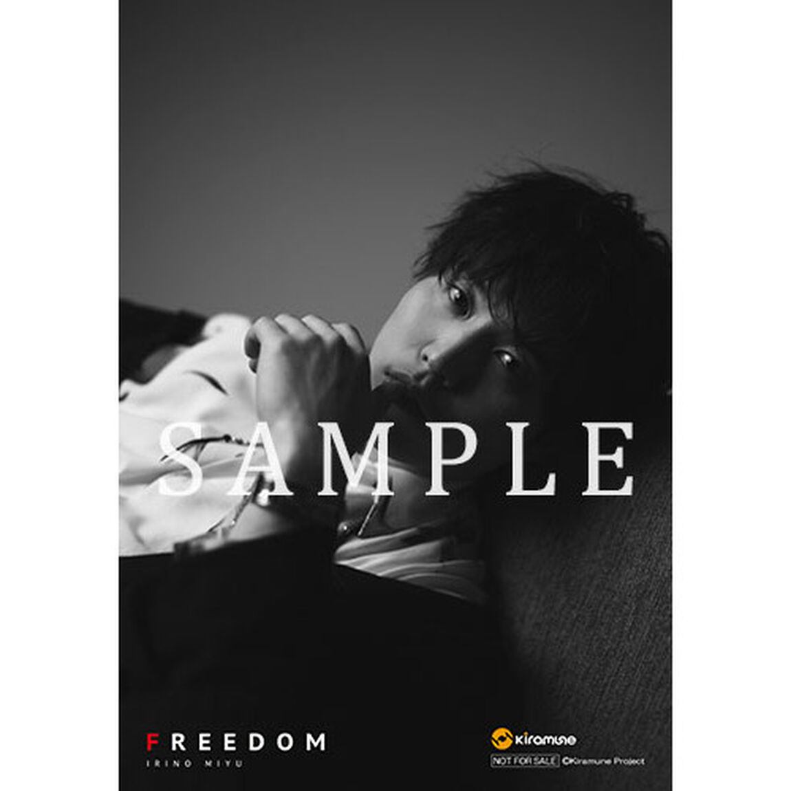 入野自由／FREEDOM（豪華盤／CD+DVD）＜セブンネット限定特典：ブロマイド＞（CDシングル）